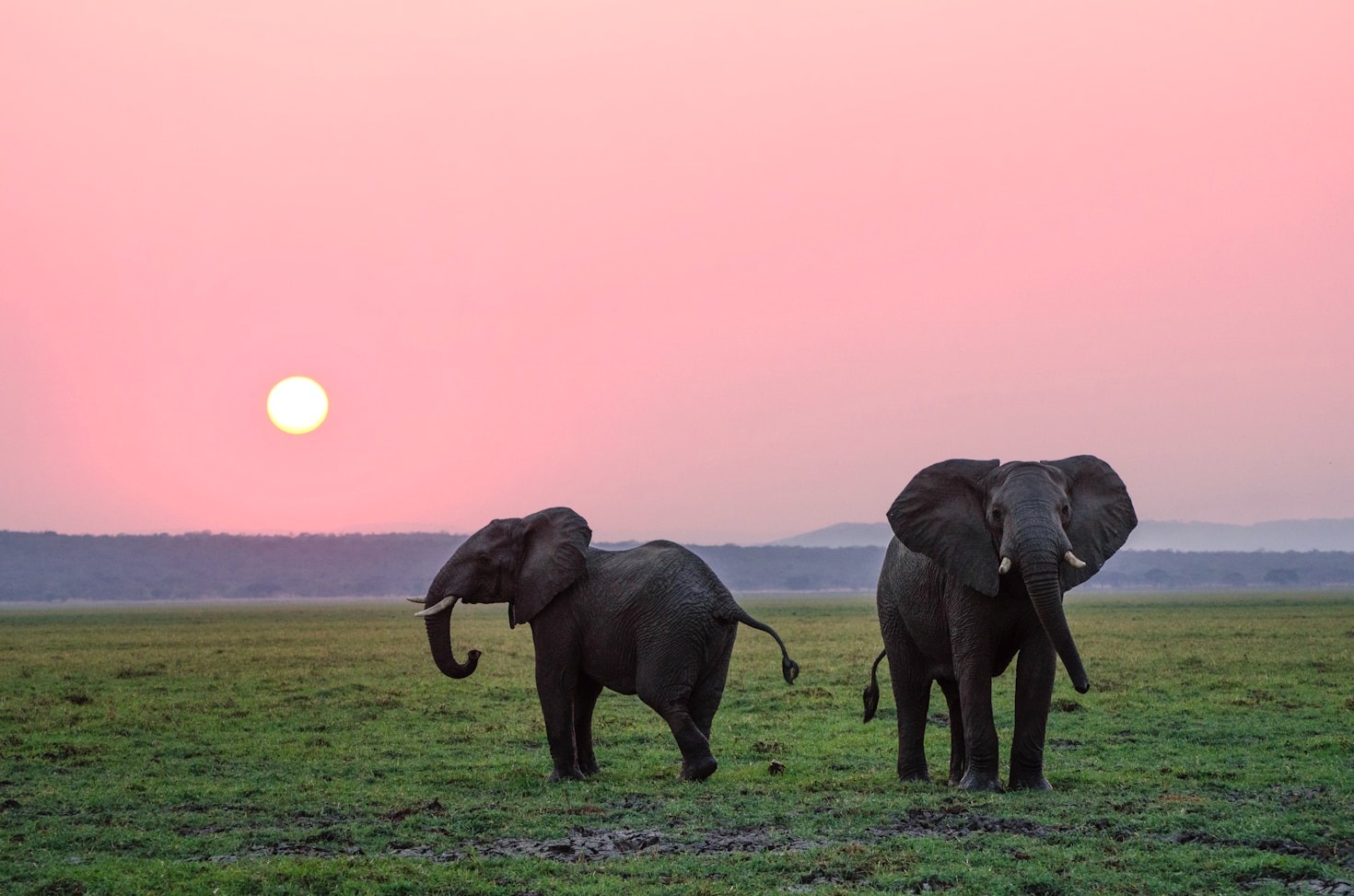 Top Five Must Visit National Parks