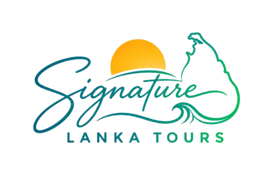 new logo 2